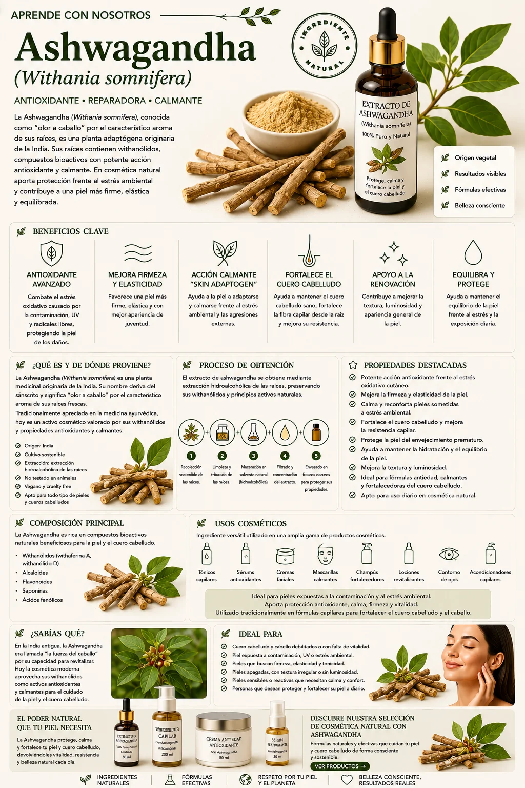 Ashwagandha: propiedades y beneficios cosméticos