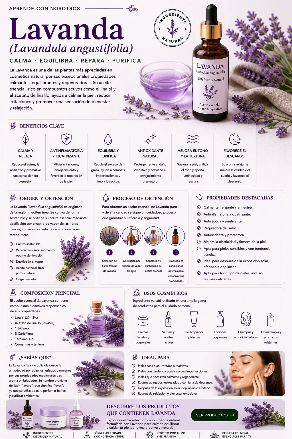 Lavanda: propiedades y beneficios cosméticos