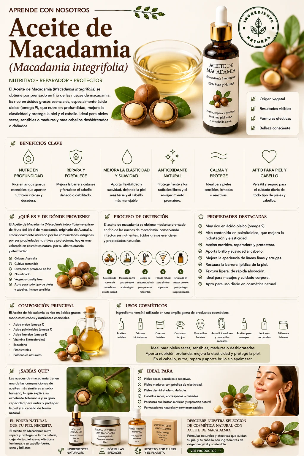 Aceite de Macadamia: propiedades y beneficios cosméticos