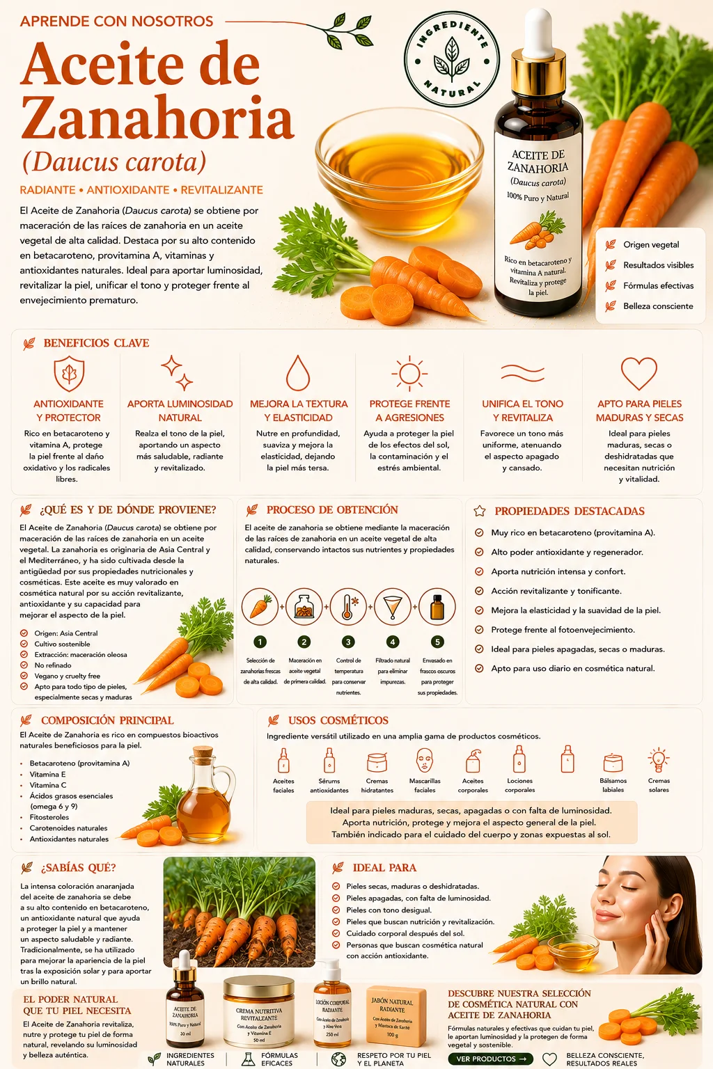 Aceite de Zanahoria: propiedades y beneficios cosméticos