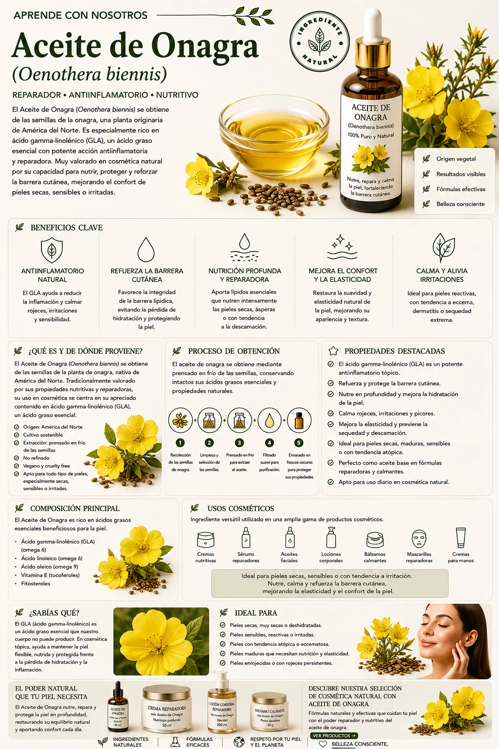 Aceite de onagra: propiedades y beneficios cosméticos